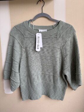 Olive & Oak Light Sage Knit Cropped Crew Sweater